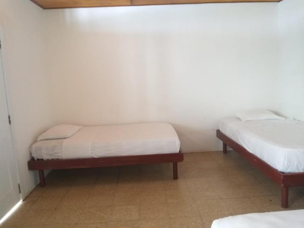 Hotel San Jacinto エクステリア 写真
